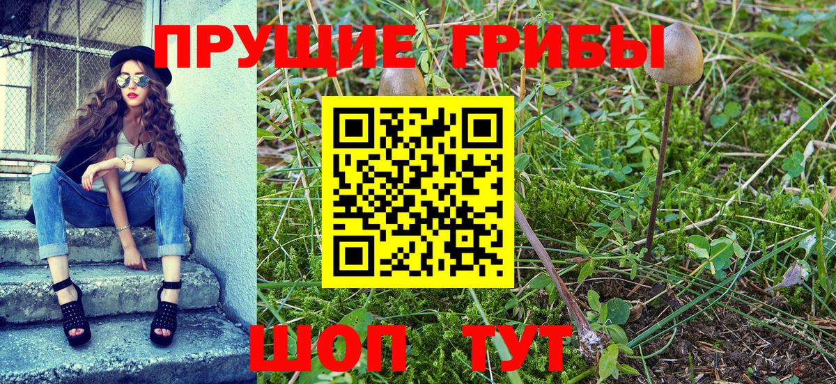 где найти   Галлюциногенные грибы MAGIC MUSHROOMS  Саяногорск  Вход с VPN  Галлюциногенные грибы GOLDEN TEACHER 